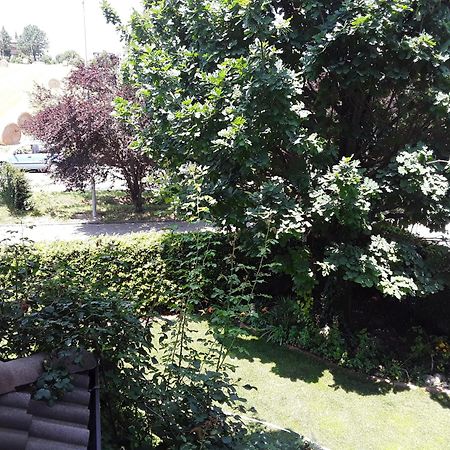 B&B La Rosa Gialla Маранело Екстериор снимка