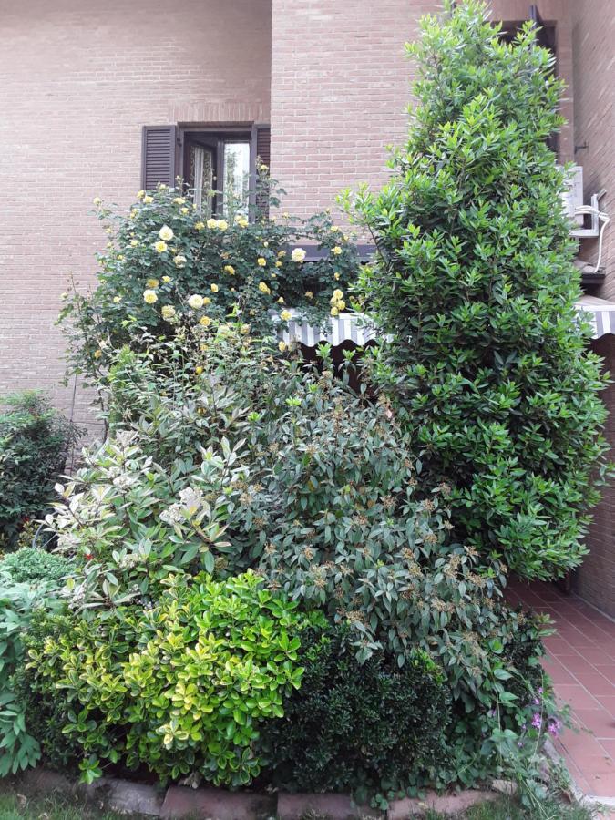 B&B La Rosa Gialla Маранело Екстериор снимка