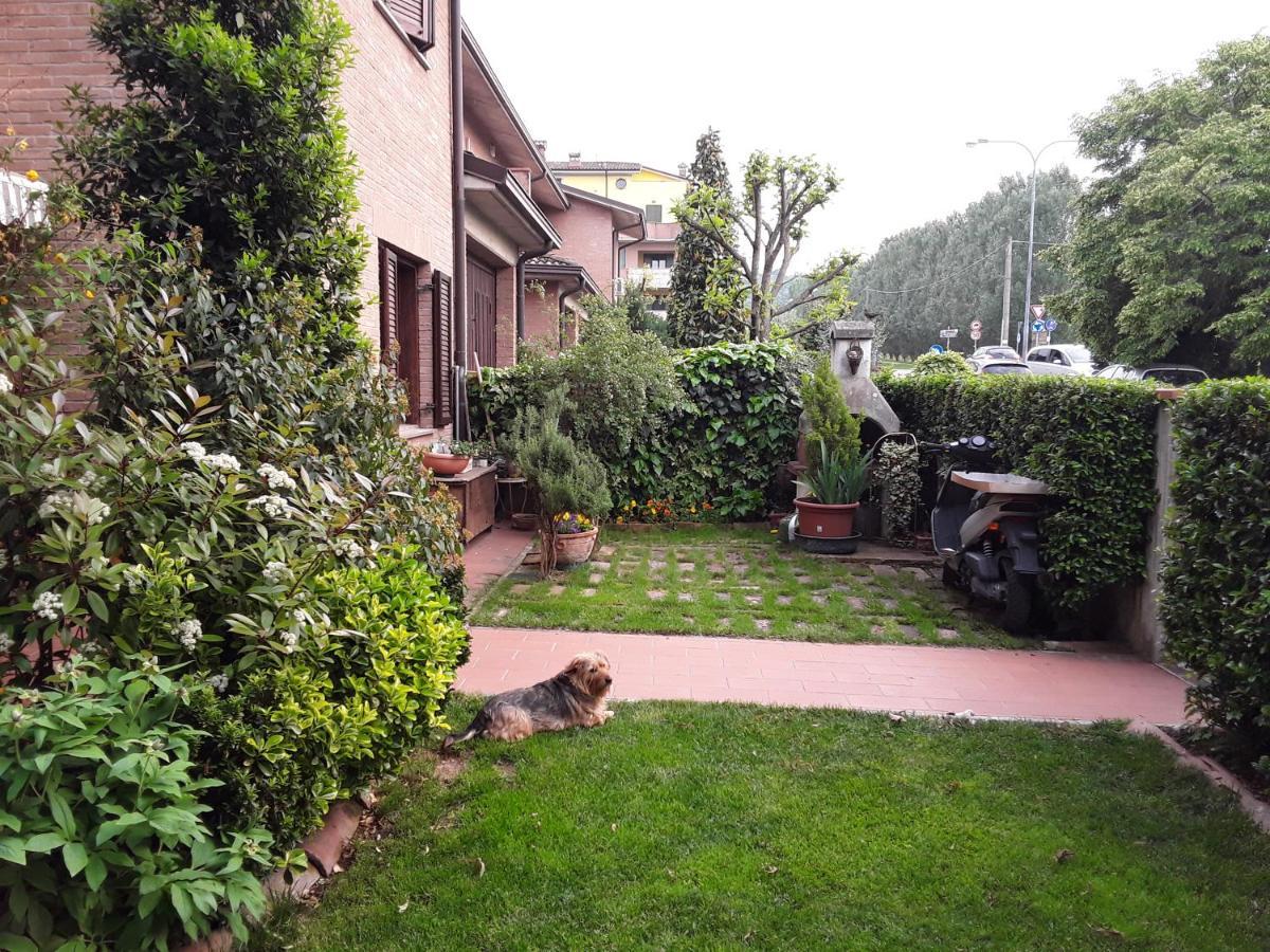 B&B La Rosa Gialla Маранело Екстериор снимка
