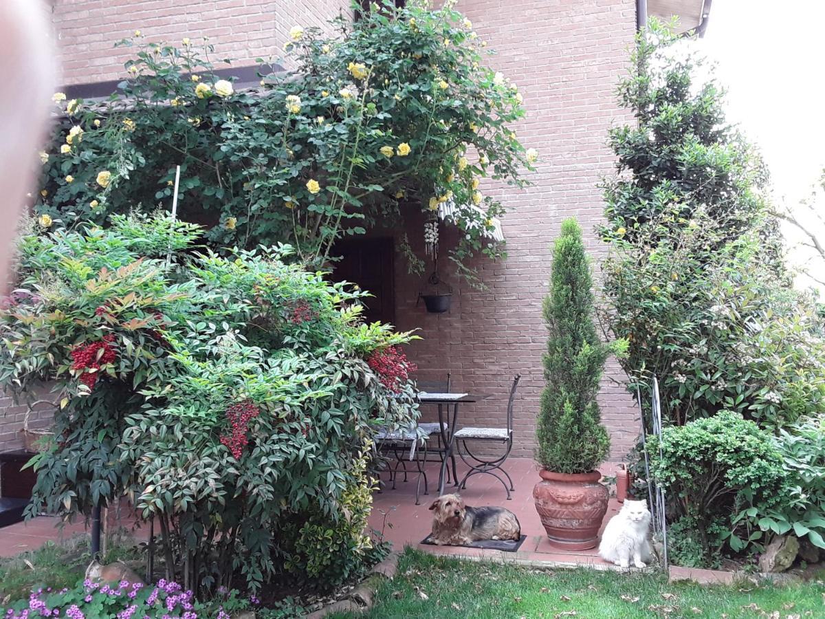 B&B La Rosa Gialla Маранело Екстериор снимка