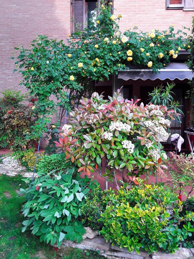 B&B La Rosa Gialla Маранело Екстериор снимка