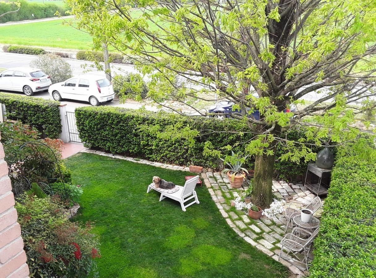 B&B La Rosa Gialla Маранело Екстериор снимка