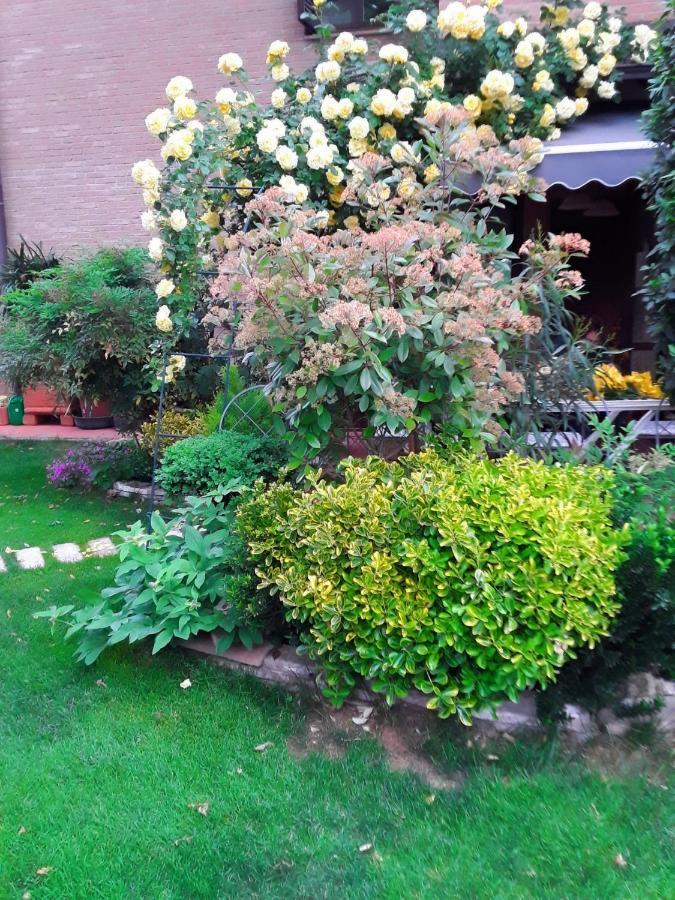 B&B La Rosa Gialla Маранело Екстериор снимка